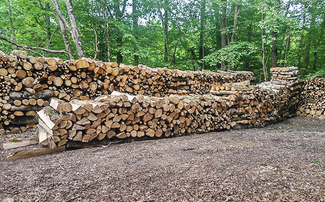 vente de bois de chauffage