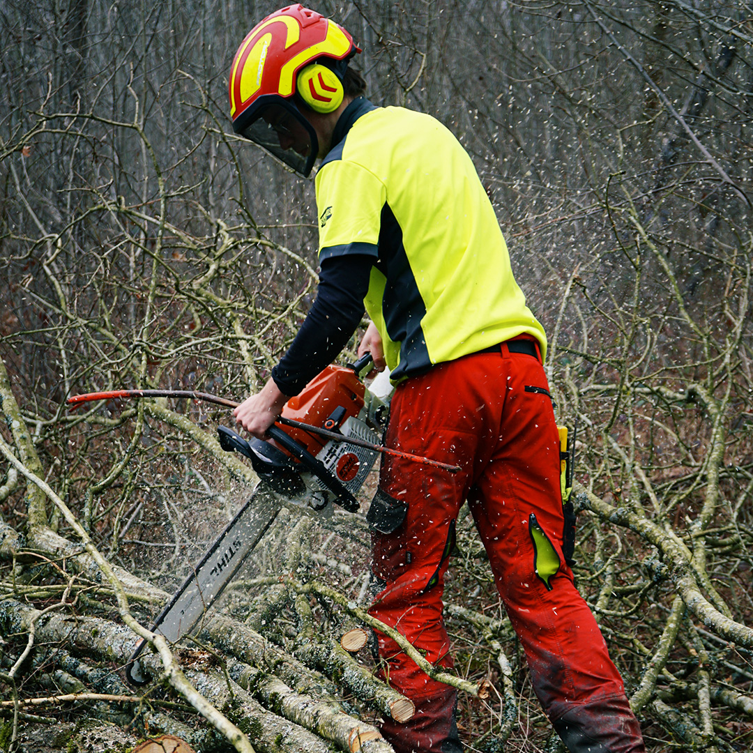Bûcheronnage
