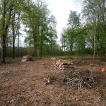Chantier exploitation forestière