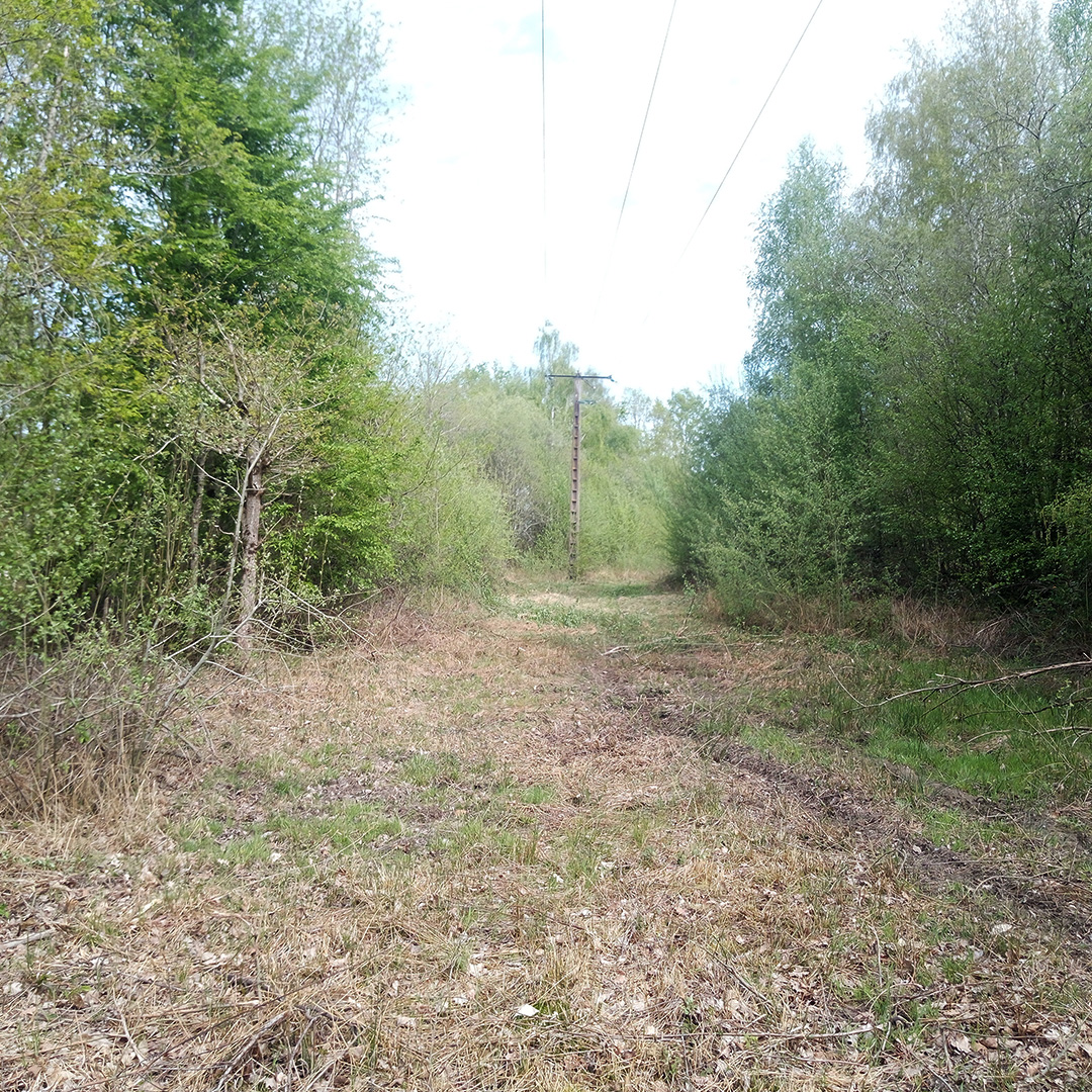 Débroussaillage forestier
