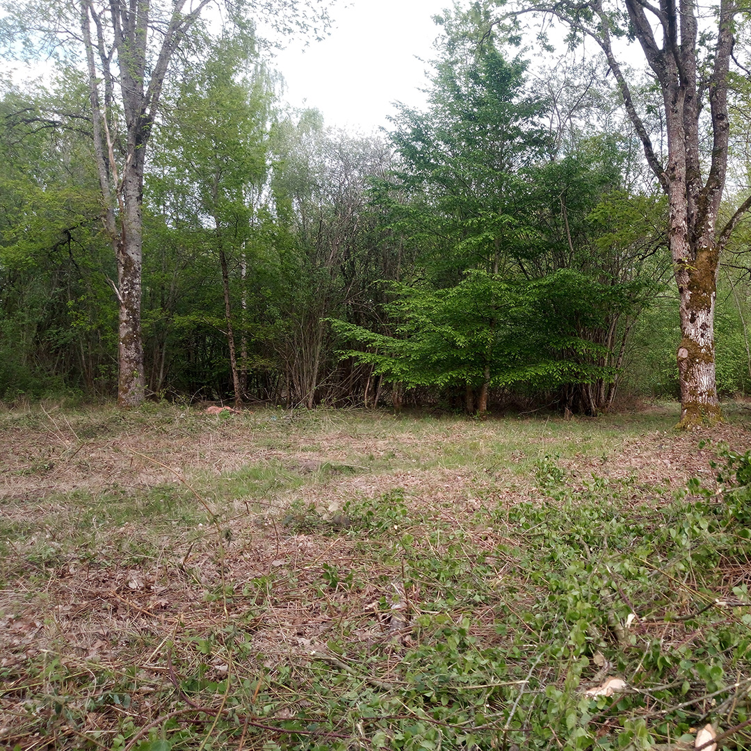 Débroussaillage forestier
