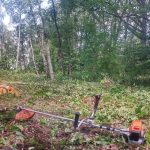 Débroussaillage forestier