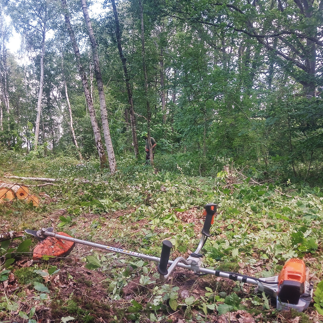 Débroussaillage forestier