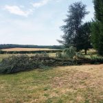 Nettoyage après tempête