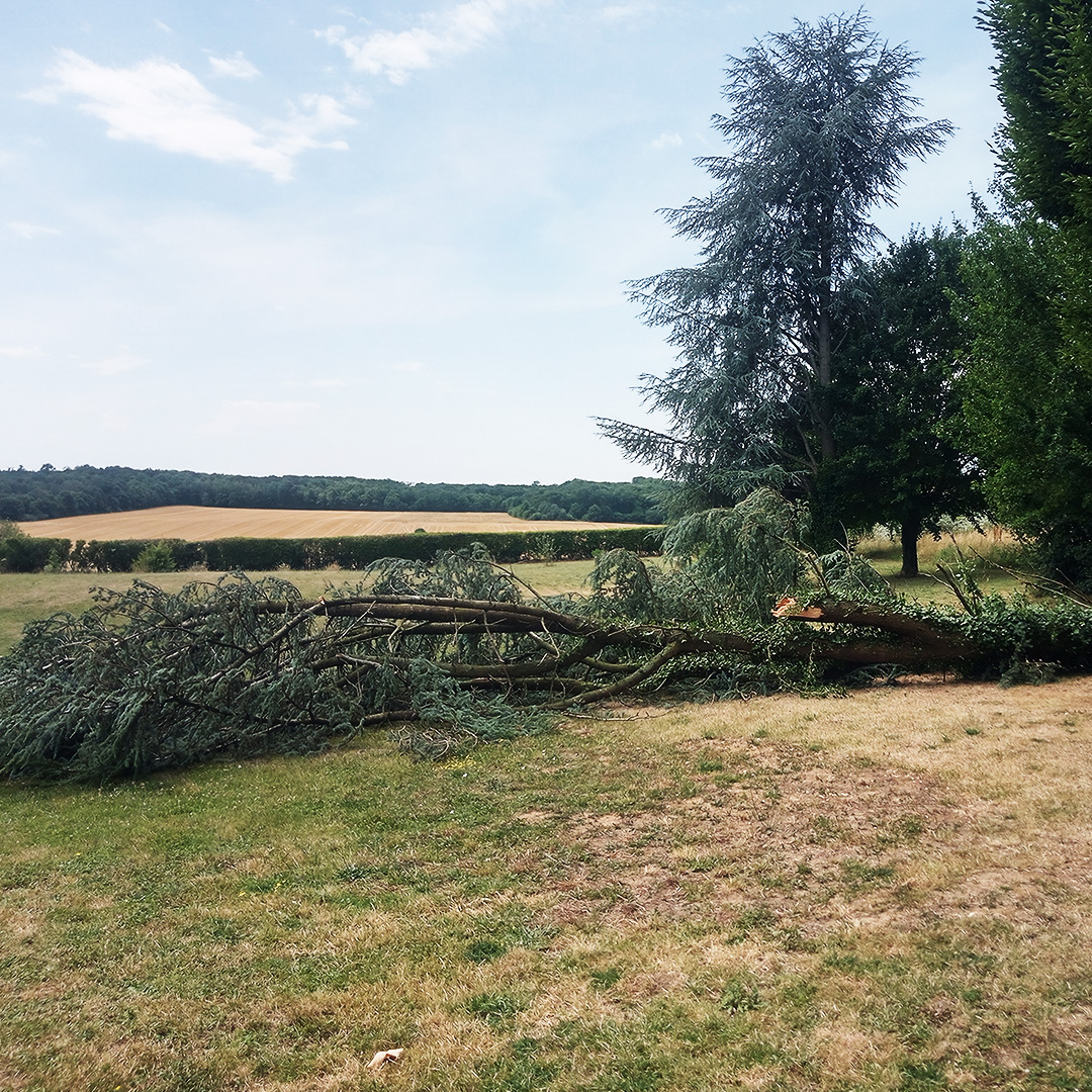 Nettoyage après tempête