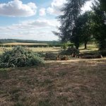 Nettoyage après tempête