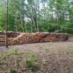 Pile de bois dépôt forêt
